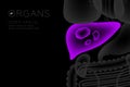 Human Organs X-ray set, Liver infection concept idea purple color