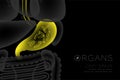 Human Organs X-ray set, Stomach infection concept idea yellow color