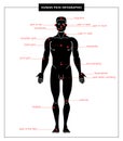 Human pain and anatomical body