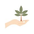 Human palm holds small tree. Vector hand drawn