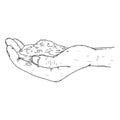 Human palms hold the soil icon. Vector illustration of a hand holding a handful of earth. Man`s hands hold a handful of earth