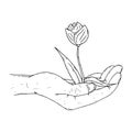 Human palms hold a young sprout icon. Vector illustration a hand holds a handful of earth with a flower. Royalty Free Stock Photo