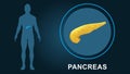 Human Pancreas or Glandular organ