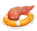 Human pancreas with lifebuoy, protect concept. 3D rendering Royalty Free Stock Photo