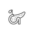 Human pancreas line icon