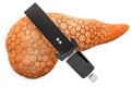 Human pancreas with seatbelt, protect concept. 3D rendering Royalty Free Stock Photo