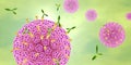 Human papillomavirus HPV marked by antibodies, 3D illustraion