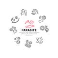 Human parasites. Set of vector linear icons.