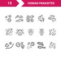 Human parasites. Set of vector linear icons.