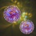 Human pathogenic viruses