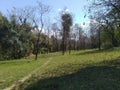 Human Pathway in Kangoo Village Hamirpur Himachal Pradesh India Background View