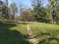 Human Pathway in Kangoo Village Hamirpur Himachal Pradesh India Background View