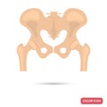 Human pelvic bones color flat icon