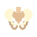 Human pelvis icon