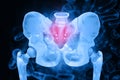 Human pelvis. Painful hip on science background Royalty Free Stock Photo