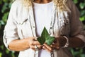 Human people and nature love concept lifestyle. Close up of woman holding natural leaf with hands. Leaves foliage nature outdoor Royalty Free Stock Photo