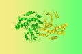 Human phosphatidylinositol 4-kinase III beta (PI4KIIIbeta) in complex with ligand 44. Ribbons diagram. 3d