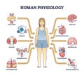 Human physiology as body functions and organ health study outline diagram