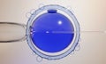 3D illustration of piezo ICSI (intra-cytoplasmic sperm injection). A blue jewel-like egg,