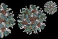 Human poliovirus, molecular model