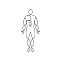 Human portrait one line drawing, body anatomy hand drawn minimalism. Vector illustration person standing isolated on white