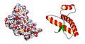 Human prion protein (hPrP), chemical structure. Associated with neurogedenerative diseases, including kuru, BSE and Creutzfeldt-