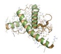 Human prion protein (hPrP), chemical structure. 3D rendering. Associated with neurodegenerative diseases, including kuru, BSE and