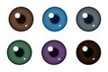 Human pupil of eyeball. Color of eyes. Vector illustration