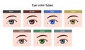 Human pupil eyeball variations / eye color types illustration