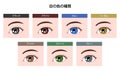 Human pupil eyeball variations / eye color types illustration