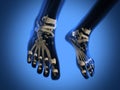 Human radiography scan of legs Royalty Free Stock Photo