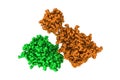 Human recombinant Gla-domainless prothrombin mutant. Rendering with differently colored protein chains. 3d illustration