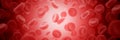 Human red blood cells. Erythrocytes. Circulatory system. Macro. Royalty Free Stock Photo