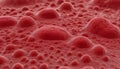 Human red blood cells, erythrocytes illustration, Embryonic stem cell microscope background Royalty Free Stock Photo