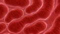 Human red blood cells, erythrocytes illustration, Embryonic stem cell microscope background Royalty Free Stock Photo