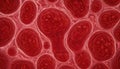 Human red blood cells, erythrocytes illustration, Embryonic stem cell microscope background Royalty Free Stock Photo