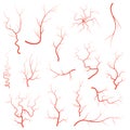 Human red eye veins set, anatomy blood vessel arteries illustration group. Vector medical eyeball vein arteries system