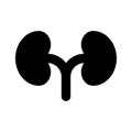 Human renal system organ, human organ, icon of kidneys Royalty Free Stock Photo