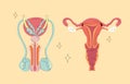 Human Reproductive Organs