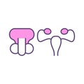 Human reproductive system RGB color icon