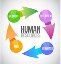 Human resources color cycle illustration Royalty Free Stock Photo