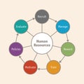 Human Resources cycle