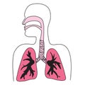 Human Respiratory System Diagram Royalty Free Stock Photo