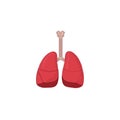 Human Respiratory System vector icon illustration