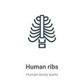 Human ribs outline vector icon. Thin line black human ribs icon, flat vector simple element illustration from editable human body Royalty Free Stock Photo