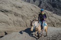 Human ride horse near Volcano Bromo, Java, Indonesia