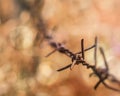 Human rights and social justice abstract concept with blurry barbed wire rod fence