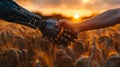 Human and robotic handshake in wheat field at sunset symbolizing harmony of nature and technology. Royalty Free Stock Photo