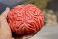 Human rubber brain close up. Selective focus