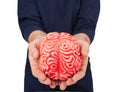 Human rubber brain between the hands Royalty Free Stock Photo